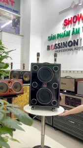 Loa Karaoke xách tay  Bossinon D2539K -  26 Đường tiếng Công Suất 1000W 2 Bass 25Cm 2 Treble - HÀNG CHÍNH HÃNG