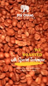 เมล็ดกาแฟสดคั่ว อิตตาเลียนโรส เอ็กซ์ตร้าคาเฟอีน Italian Roast -Extra Caffeine 500กรัม