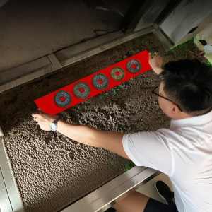 YICHENGXUAN | Genuine Wu Di Coins Threshold Stone For Safety