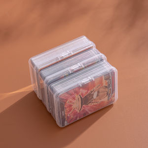 Large Capacity Card Storage Box