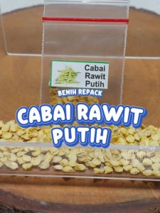 Benih Cabai Rawit Putih Unggulan berkualitas biji bibit cabe hydroponik hidroponik sayuran sayur muda