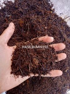 akar pakis cacah hitam kualitas terbaik siap pakai 1kg