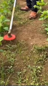 Lưỡi rẫy cỏ lưỡi cắt cỏ tận gốc 5 cánh hình sao hàng đẹp