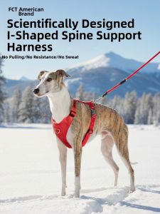 FCT | Spine-protecting Escape-proof Dog Chest Harness