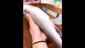 OSQ Multifunctional Stainless Steel Scraper for Fish Belly Cutter Guts Remover Scale Scraping Tool