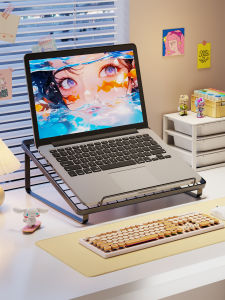 QINQI | Elevated Ventilated Desk Organizer Iron Laptop Stand
