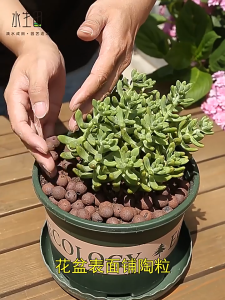 10L Hydroton Clay Pebbles LECA Balls for Hydroponics Aquaponics Systems Orchids 3 Size High Quality Pebbles Grow Media for Hydroponics and other Gardening