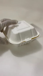 (50Pcs) Biodegradable Burger Box / Sugarcane Burger Box /Cake Box/Disposable Kueh Box/Bio Burger Box