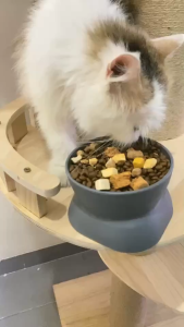 Bite of Wild - Makanan Kucing Kering 50g Bebas biji-bijian dengan toping Salmon/Ayam/Daging mentah P42