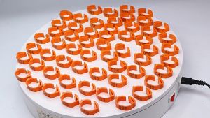 50/100Pcs Assorted color Chicken leg rings Adjustable Poultry feet tags Plastic legband for gamefowl Chicken accessories