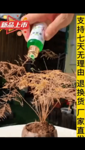 【SG现货】拍一发五5瓶装复活液正品花卉针对植物光杆发黄掉叶生长快速活性生根壮苗爆