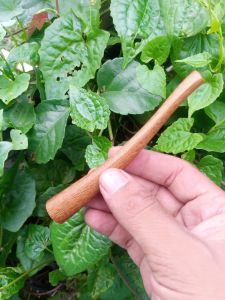 Pipa cangklong kayu gali kelor emas asli natural