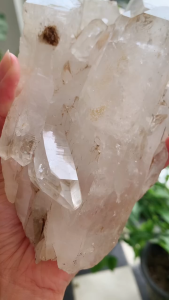 🤍 Himalayan Quartz|喜马拉雅白水晶簇