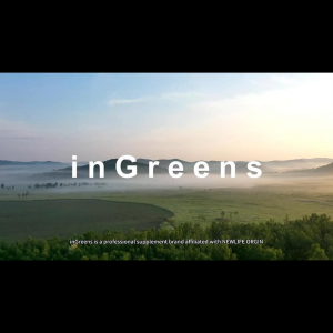 (Mixed 2-pack)inGreens 1500mg Moringa Leaf & 500mg Magnesium Glycinate120 Vegetarian CapsulesAntioxidant Sleep Aid Strong Body