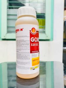 Insektisida Racun Kontak dan Lambung GORDON 320 EC dari MKD indonesia