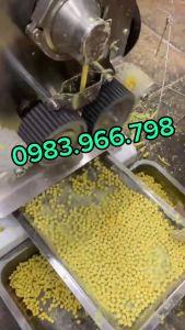 Máy vo viên thuốc đông y tự động AW95