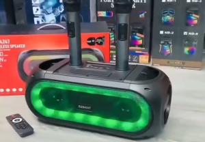 ZQS 4247 KTV Portable Karaoke Speaker Bluetooth + 2 Wireless Microphone with RGB Light FM/TF/USB/AUX
