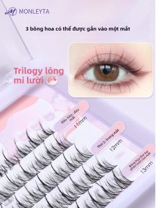 MONLEYTA | Mi Giả Đơn Bó Thiên Nhiên cho Người Mới Bắt Đầu