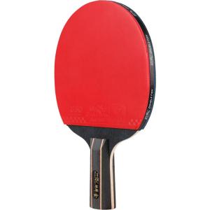 Double Fish | Professional Training Competition High Bounce Table Tennis Racket