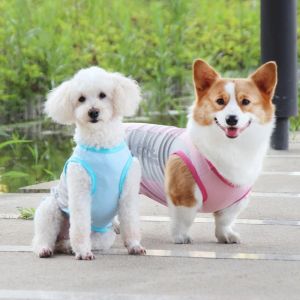 HATELI Dog Cooling Shirts Breathable Instant Cooling Dogs Puppy Vest Quick Dry Lightweight Reflective Clothes for Summer Dogs Cats Clothes Outdoor Walking Jacket for Small Medium Large Dogs