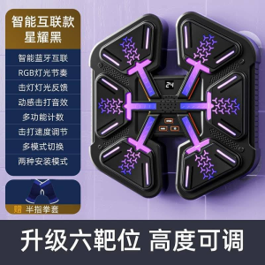 WE 3690* = 音乐拳击板 Music Boxing Board