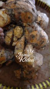 Temulawak SEGAR 100 gr Harga Grosir