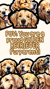GOLDEN RETRIEVER DOG PEEKER STICKERS (WATEPROOF AND SCRATCH PROOF VINYL LAMINATED STICKER)