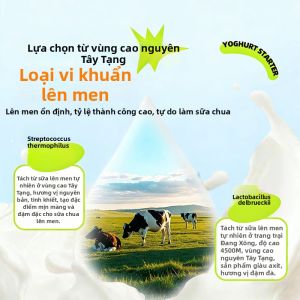 YIFANGYOUTA | Sữa Chua Ferment Probiotic Không Chất Bảo Quản