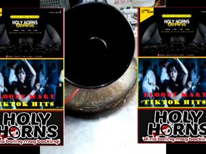 Backhorn ⭐BLOODY MARY TIKTOK HITS⭐ BACKHORN 12-24VOLTS back horn for truck 24v