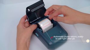 NIIMBOT B1 Label Printer Portable Handheld Thermal Printer for Barcode QR Code Stickers Office and home printers