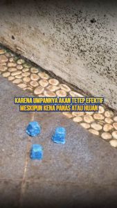 Racun tikus KURATO beli 1 gratis 1 dapat 2 pack original paling ampuh