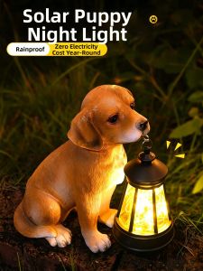 BOOMING LIGHTING | Solar Powered Waterproof Outdoor Light