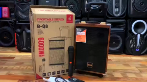 Bluetooth Portable Super Bass Trolley Speakers For Kaoke W/Fountction of USB/FM And Wireles Mic BQ-8