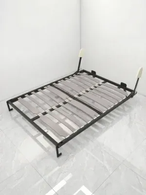 Space-Saving Murphy Bed with Closet Integrated Flip-Down Wall Bed Hidden Storage High-End Hardware Accessories for Small Rooms