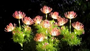 Solar Garden Lawn Lights LED Flower Lamp Outdoor Glowing Flower Decorations Yard Waterproof for Driveway Landscape Decoration Durable