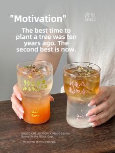 SHELI | INS Style Creative High Aesthetics Multi-use Glass Cup