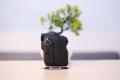 kamera mirrorless Fujifilm xh1 xh-1 bodyonly mulus banget termurah. 