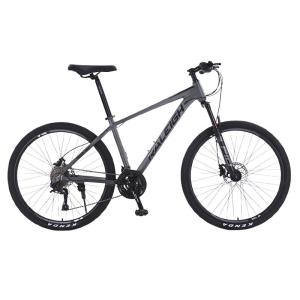Raleigh | Shock Absorption Bicycle for Adults and Teens