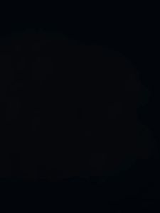 Furiri 30pcs Pet Dog Cat Pads Disposable Pants Menstrual Pets Cat Dog Menstruation Nursing Sanitary Napkins Diapers Menstrual Pet Pad