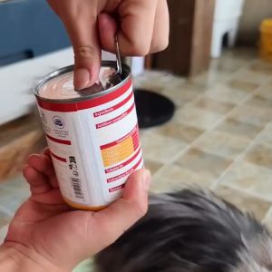 BIOLINE 15PCS 85g/375g Canned Cat Wet Food for Cat Super Premium Can Cat Food