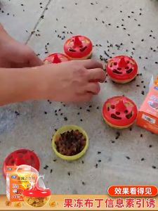 Japan Fly-killing Fruit Fly Trap Insecticide Bait Fly Sticker Small Flying Insect Nemesis Killing Artifact Fly Trap Fly Killer