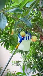 Dụng cụ hái trái cây Đầu vợt có túi đựng 16cm Gậy dài 3m - 7m Kim loại Inox 304 chắc chắn Thu gọn siêu tiện lợi