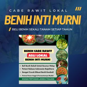 DINASTI SEED - Benih Cabe Rawit Hijau 5gr & 10gr Bibit Cabai ijo Asli Lokal Inti Murni (1000 - 2000) biji/butir - khusus pertanian jangka panjang dan skala besar - dapat dibuat bening kembali - potensi hasil panen tinggi tumpang sari tanam benih langsung