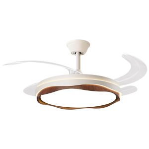 DGY | New Retro Style Quiet Adjustable Dimmable Eye-protective Fan Light