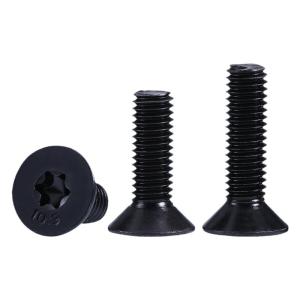BAIRUITE | High Strength Black Countersunk Hex Socket Security Screw