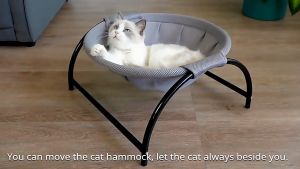 Pet Hammock Cat Dog Hanging Basket Round Bed