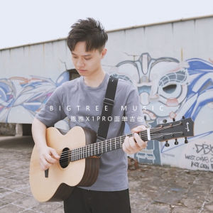 Big Tree Music House Enya X1pro Surface Veneer Folk Wooden Guitar Beginner Male and Female Students Entry Level Inch