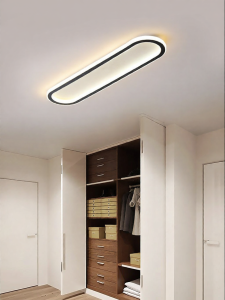DGY | Modern Slim Ceiling Light