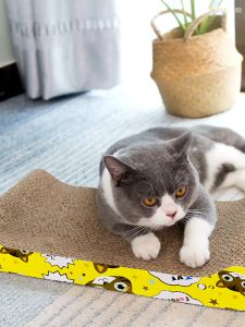 เล็บแมว กระดาษลับเล็บแมว ที่ฝน 100% ห้องเล็บ ของเล็ง คุณสมบัติของแผ่นลับเล็บแมว