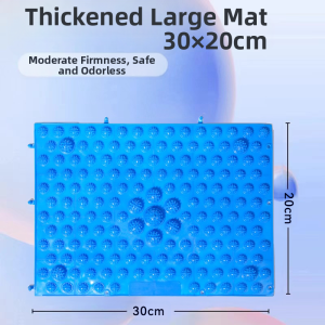 PINJIAN | Traditional Chinese Medicine Foot Massage Pad for Indoor Jogging